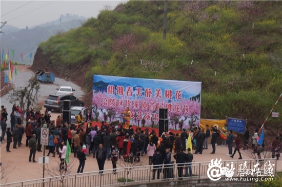 DSC05811_副本.jpg