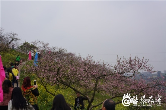DSC05736_副本.jpg