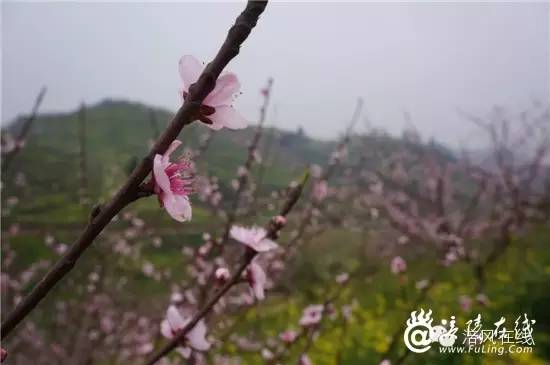 DSC05701_副本.jpg