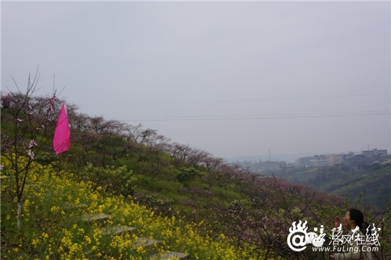 DSC05763_副本.jpg