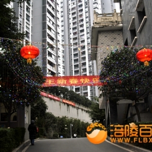 政馨苑小区2019年迎春节彩灯亮了