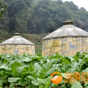 青菜头绿山野榨菜飘香的桃苑度假村