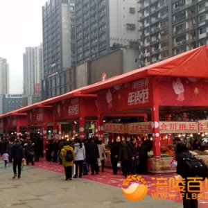 泽胜新春年货节举行
