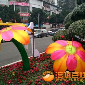 鲜花欢迎您！涪陵消防队好地方