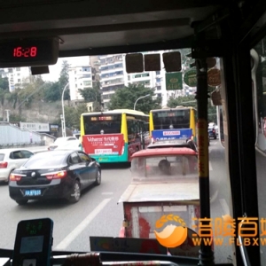 街头今日车辆有点赌