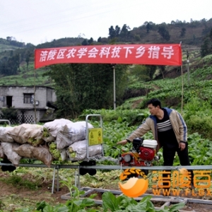 青菜头 “轨道搬运机”第一次出现