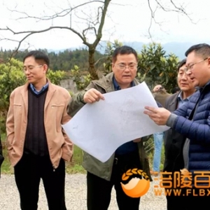 涪陵：中化涪陵环保搬迁项目白涛工业园区
