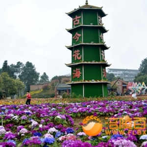 古今花海乡村旅游与脱贫致富相结合