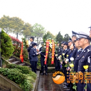 涪陵：公安市民党员悼念革命烈士