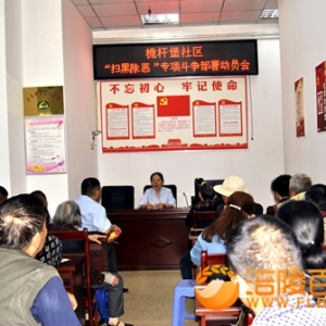 桅杆堡：学习习近平重庆视察讲话精神  为家乡点赞