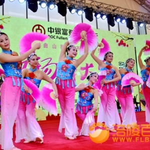 涪陵：800名大妈大爷参加广场舞赛
