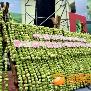 涪陵榨菜：打造总产值150亿元 利税30亿元