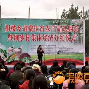 涪陵民建助武陵山区贫困村消费电商扶贫