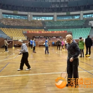 2019第二届“乐雅杯”羽你快乐群年终赛举行