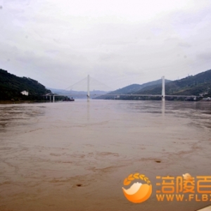 长江5号洪峰173米平安过涪陵