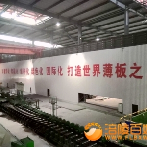 重庆攀华：打造世界薄板之王