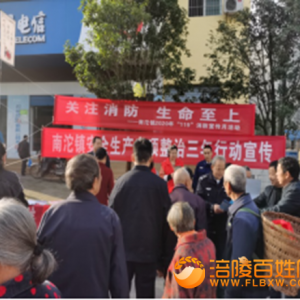 南沱镇开展消防“119”宣传活动
