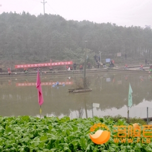南沱民协分会第一次钓鱼比赛举行