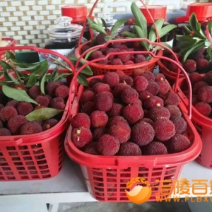 南沱秀山村的杨梅熟了