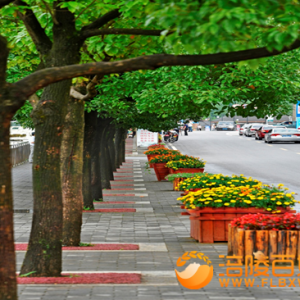 涪陵：武陵山乡绣花之功探索城市管理新路径
