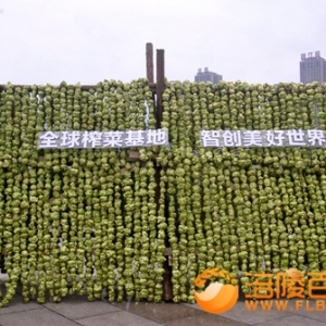 榨菜飘香的涪陵两江广场