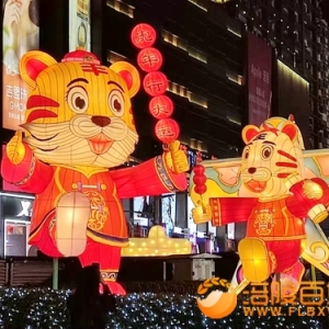 高笋塘8只可爱的“老虎”