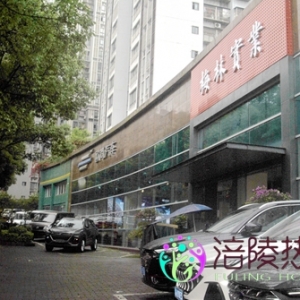 长安欧尚Z6“汽车机器人”来到涪陵