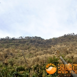 北山坪山林火灾扑灭 有涪陵雪豹救援汗水