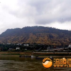 北山坪绿失色   江水泪流滚