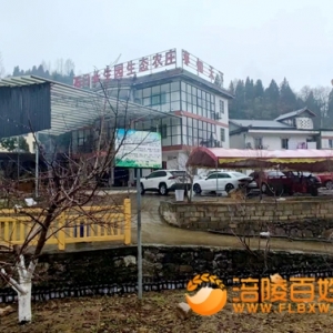 帝王血桃锦绣黄桃免费赠  挂果后只需每根3斤桃子  协助销售