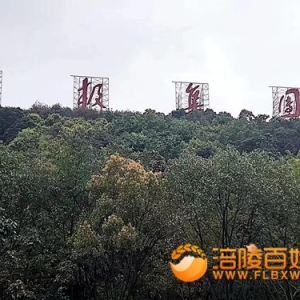 森林中太极集团四个大字
