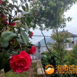 集邮教育从小抓起 培养集邮接班人十分重要