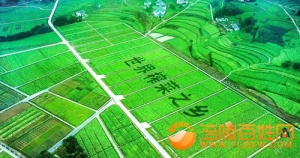 “我为邮票选题进一言”征文    建议发行《中国榨菜之乡—重庆涪陵》普资封片 ...