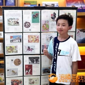 “小小集邮家”展示资料 做集邮传承人