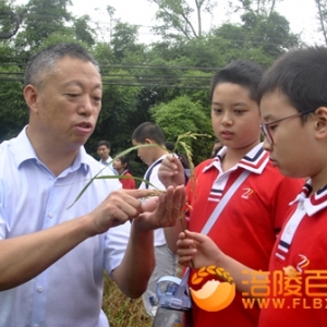“节约粮食，从我做起”  50名青少年到田间了解水稻大米粮仓 ...