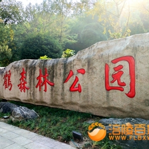 涪陵白鹤森林到森林公园有一条幽静小道