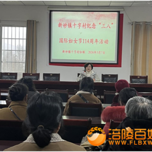 新妙镇十字村:“三八”国际妇女节第114周年活动