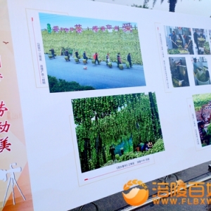 爱岗敬业 争当劳模