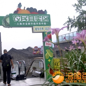 涪陵：十余部电梯为农民自卖区服务