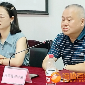 信心比黄金重要 民营企业雄起