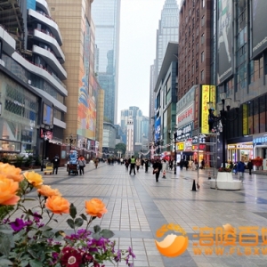 解放碑西南经济金融中心