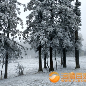 看2025年春仙女山最后一次雪景