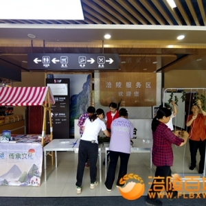 南方公司涪陵“粽香竞艳 传承文化”端午活动