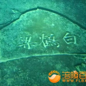 建议发行《水文遗产“白鹤梁与尼罗尺”》邮票