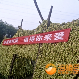 一马当先打造涪陵非遗榨菜品牌