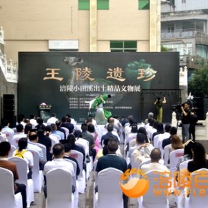 巴王珍宝在涪陵