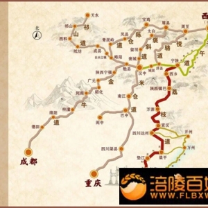 天宝岁贡取之涪 —荔枝极限片讲述荔枝古道的故事