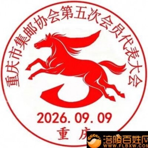 重庆市集协第五届理事会陈建菊当选会长
