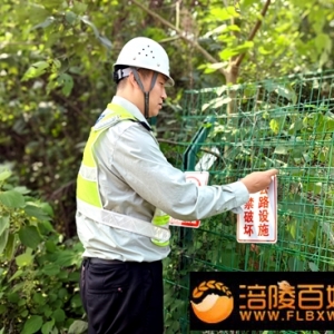 南涪路攻坚整治行人上路隐患 全力护航节日高速车流高峰安全畅通 ...