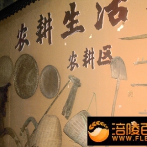 五桂堂农耕文化展示国庆开放